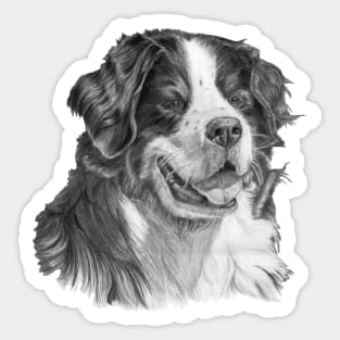 Bernese mountain dog Sticker